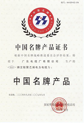中国名牌产品证书